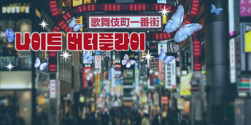 나이트 버터플라이